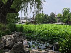 -莲池书院博物馆