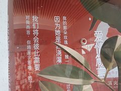 -爱情邮局