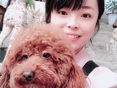 -懒鱼时光馆(沙坪坝店)