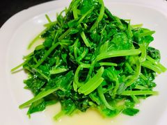 清炒豌豆尖-锦庐道地川菜(来福士店)