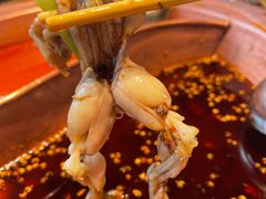 特色美蛙-三只耳冷锅鱼火锅(玉林店)