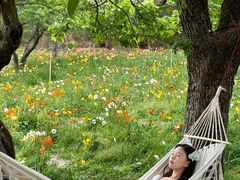 -名花谷生态庄园