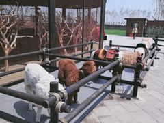 -波塞冬旅游度假区