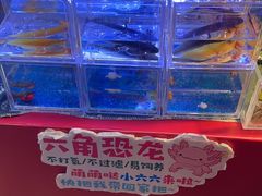 -武汉荟聚