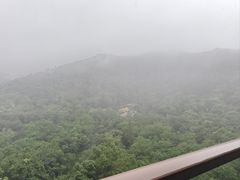 -长兴太湖图影湿地文化园