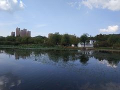 -前关湿地公园