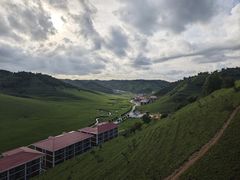 -关山草原