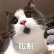 -卓粤拉肠(红庙店)