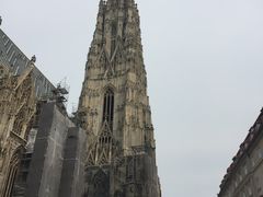 -斯蒂芬主教座堂(Stephansdom)