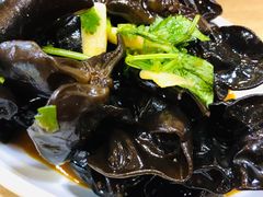 -晋宝章大同刀削面(和平里店)