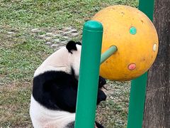 -石家庄市动物园