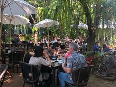-Fern Forest Cafe