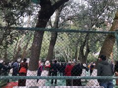 -宗角禄康公园