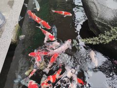 -贵阳高新惠诚食品有限公司