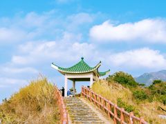 -大澳