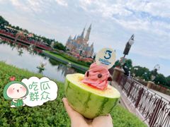 -上海迪士尼度假区