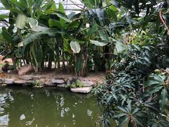 -南通洲际绿博园