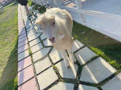 -宁波冰雪大世界(北仑区)