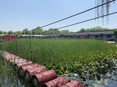 -河北村民俗体验园