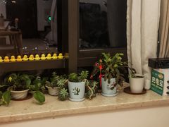 -八号公馆·老上海SPA(深圳北站店)