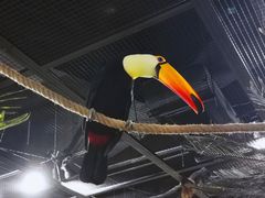 -海合安武汉极地海洋公园