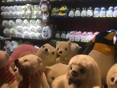 -太平洋海底世界