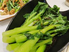 白灼菜心-稻香酒家·34年老字号·港式粤菜(汉街店)