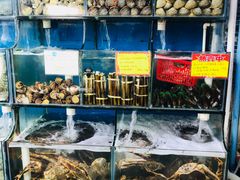 -蚝专家(北滘店)