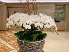 -粤珍轩·家宴·广式茶点(新城广场店)