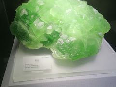 -湖南省地质博物馆