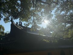 -普陀山风景名胜区-法雨禅寺