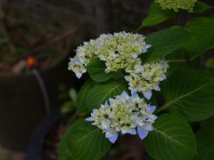 -元生咖啡(陶溪川店)