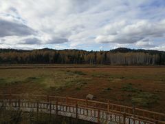 -五营红松林海景区