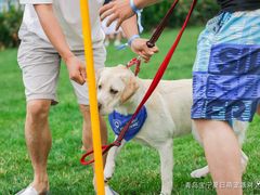 -趣玩宠物乐园寄养训犬训狗游泳池