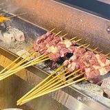 白帅好铁锅炖大鹅|东北那旮旯的美味咔咔造~