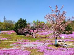 -棒棰岛宾馆景区