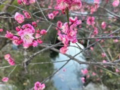 -江宁织造博物馆