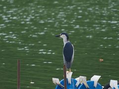 -浮庄