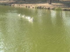 -西安浐灞国家湿地公园