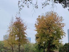 -后襄河公园