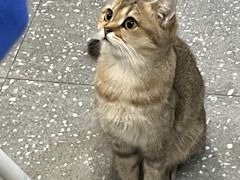 -共舞时光猫咖·狗咖(新街口店)