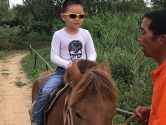 -扬州天乐湖嬉乐谷