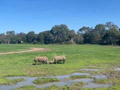 -威勒比开放式动物园