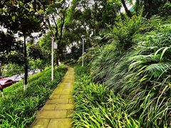 -重庆平顶山公园
