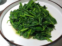 清炒豌豆尖-雲蜀龙阁·金牌水煮鱼(方庄店)