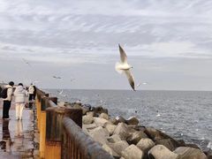-东堤公园
