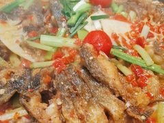 -老板恋上鱼(恒隆广场店)