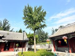 -护国天仙圣母庙