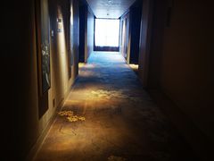 -成都保利公园皇冠假日酒店(熊猫基地店)