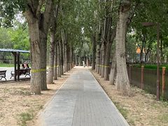 -回龙观体育文化公园